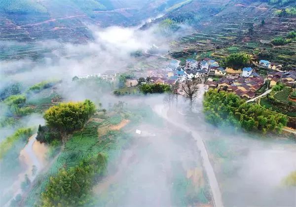 看遂昌客户端遂昌基层干群战高温保民生-第1张图片-太平洋在线下载